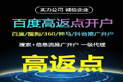 百度竞价成功案例解析