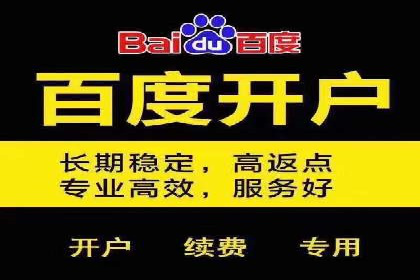 竞价代运营实战案例深度剖析